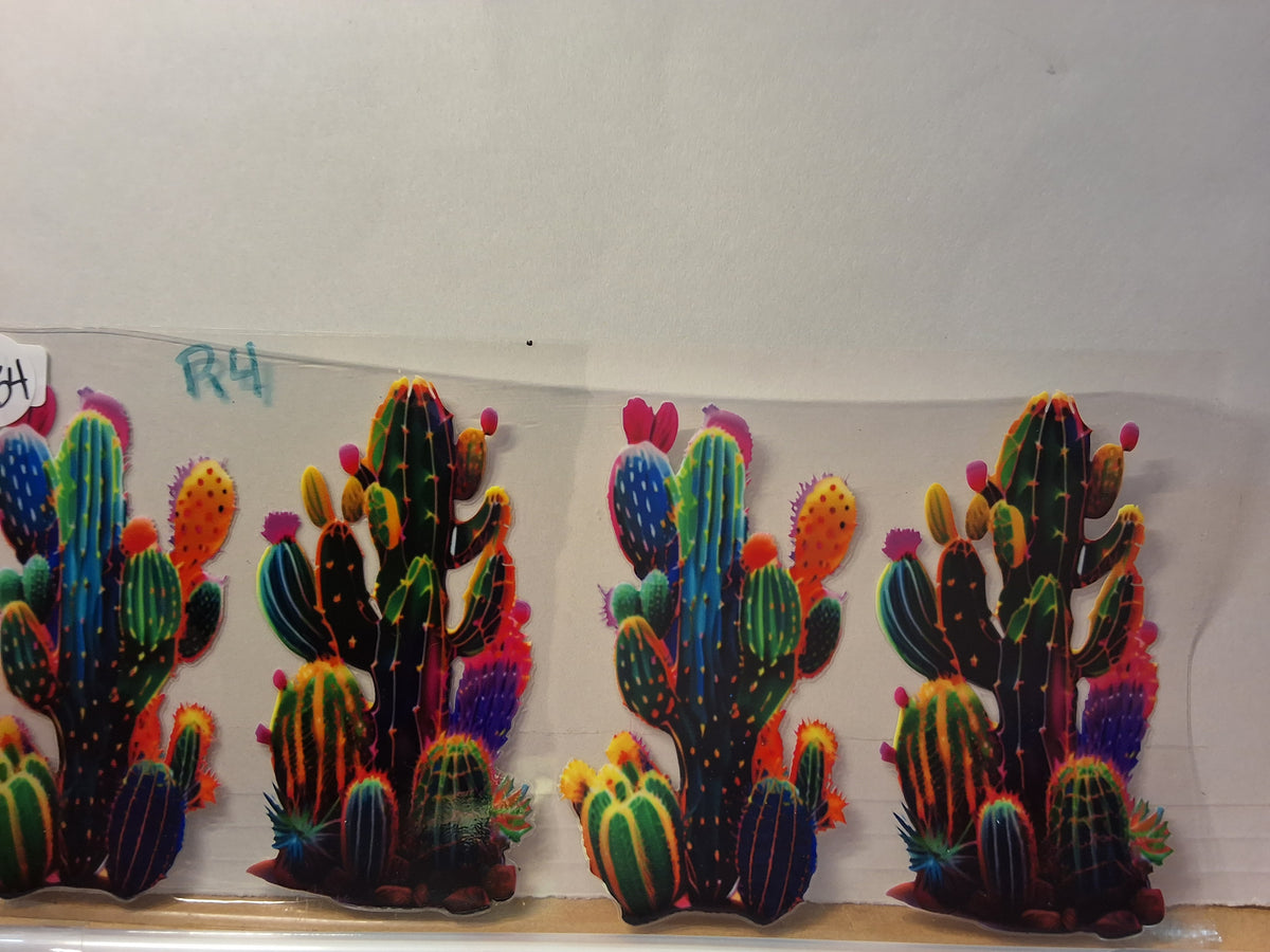 Colored Cactus