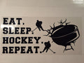 Hockey 3