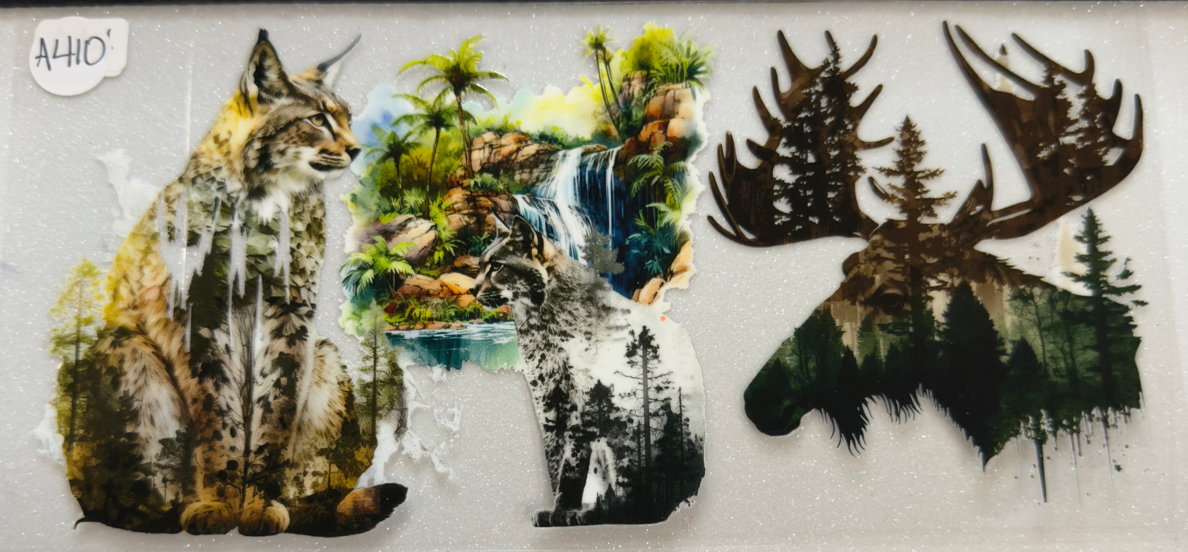 Animals