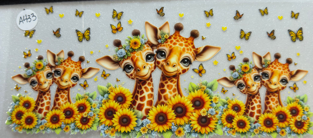 Animals