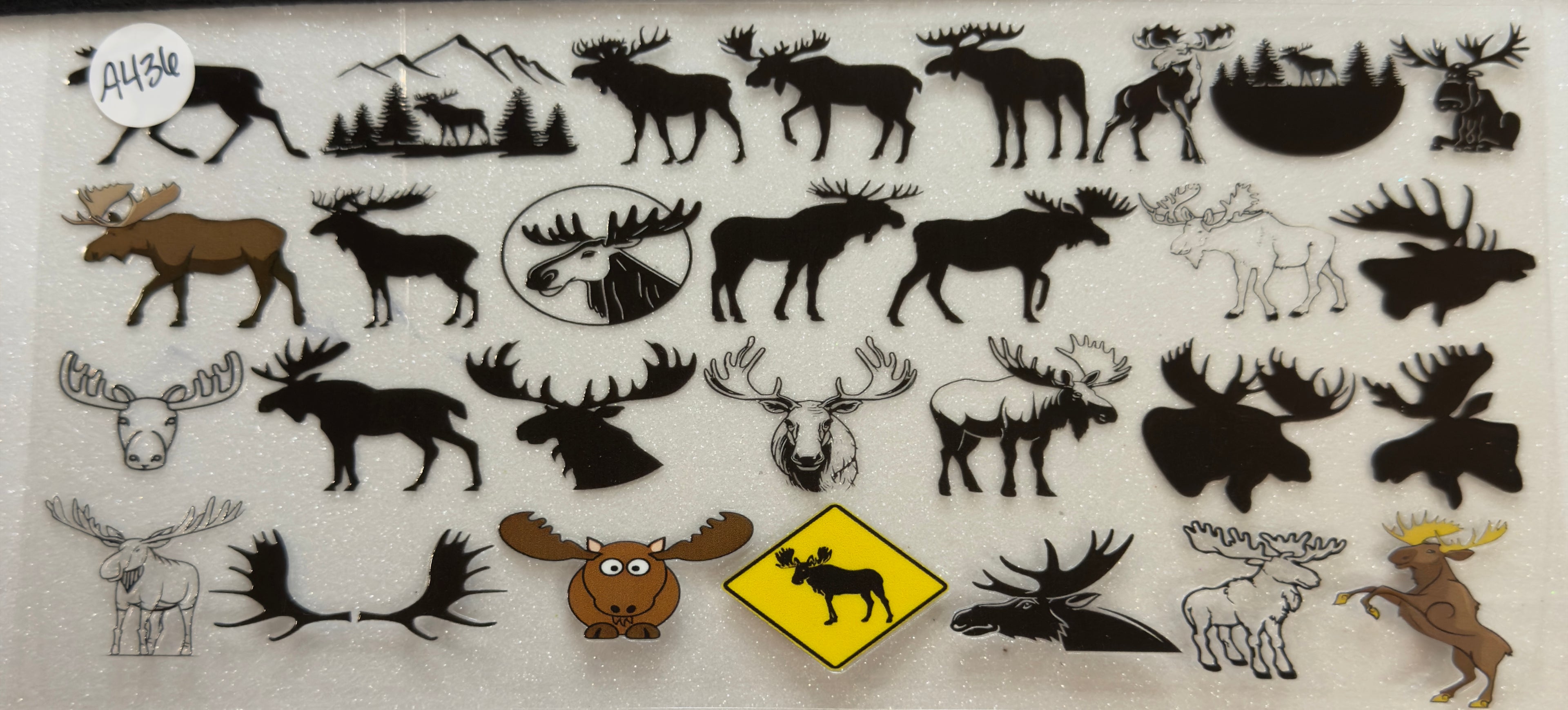 Animals