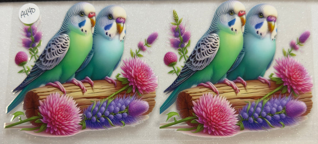 Animals