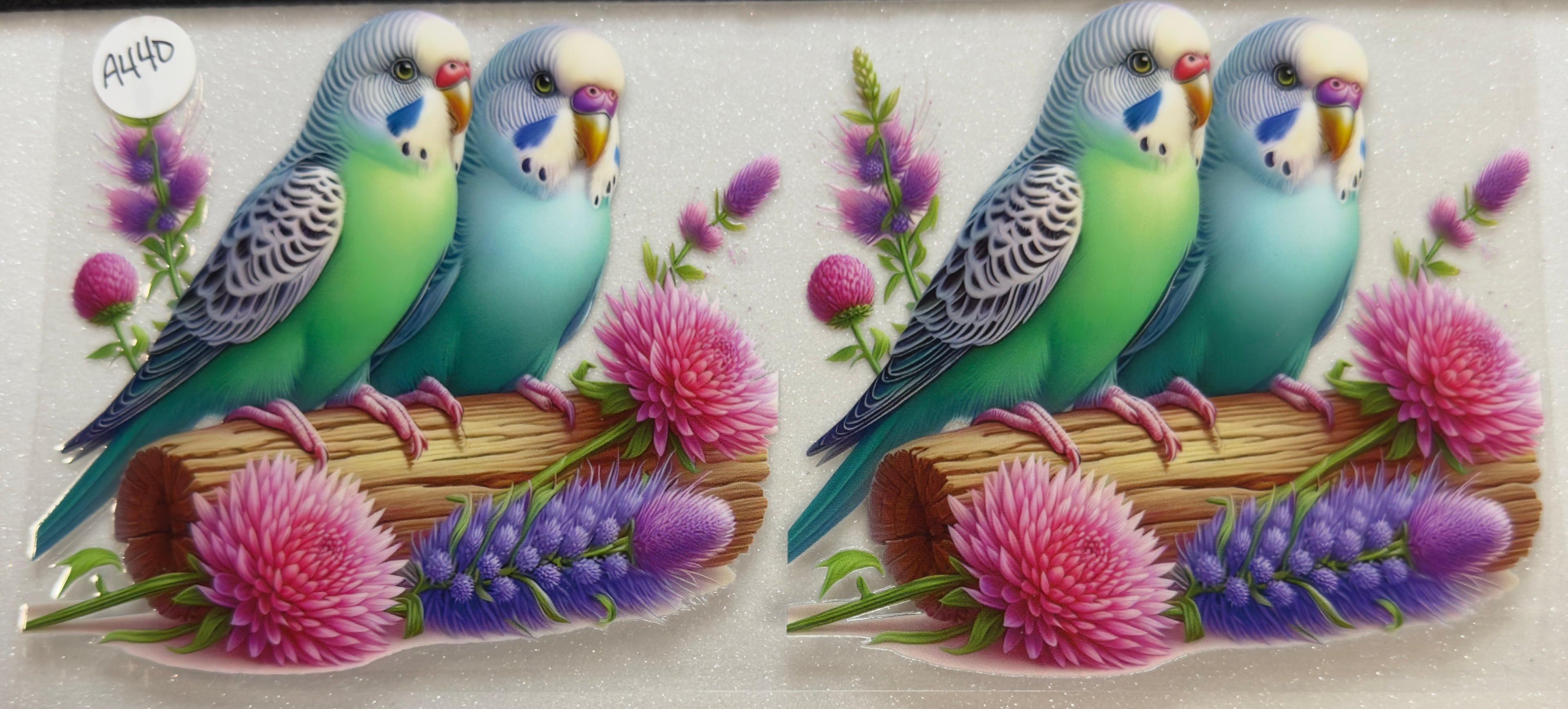 Animals