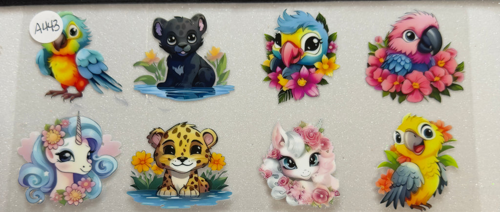 Animals