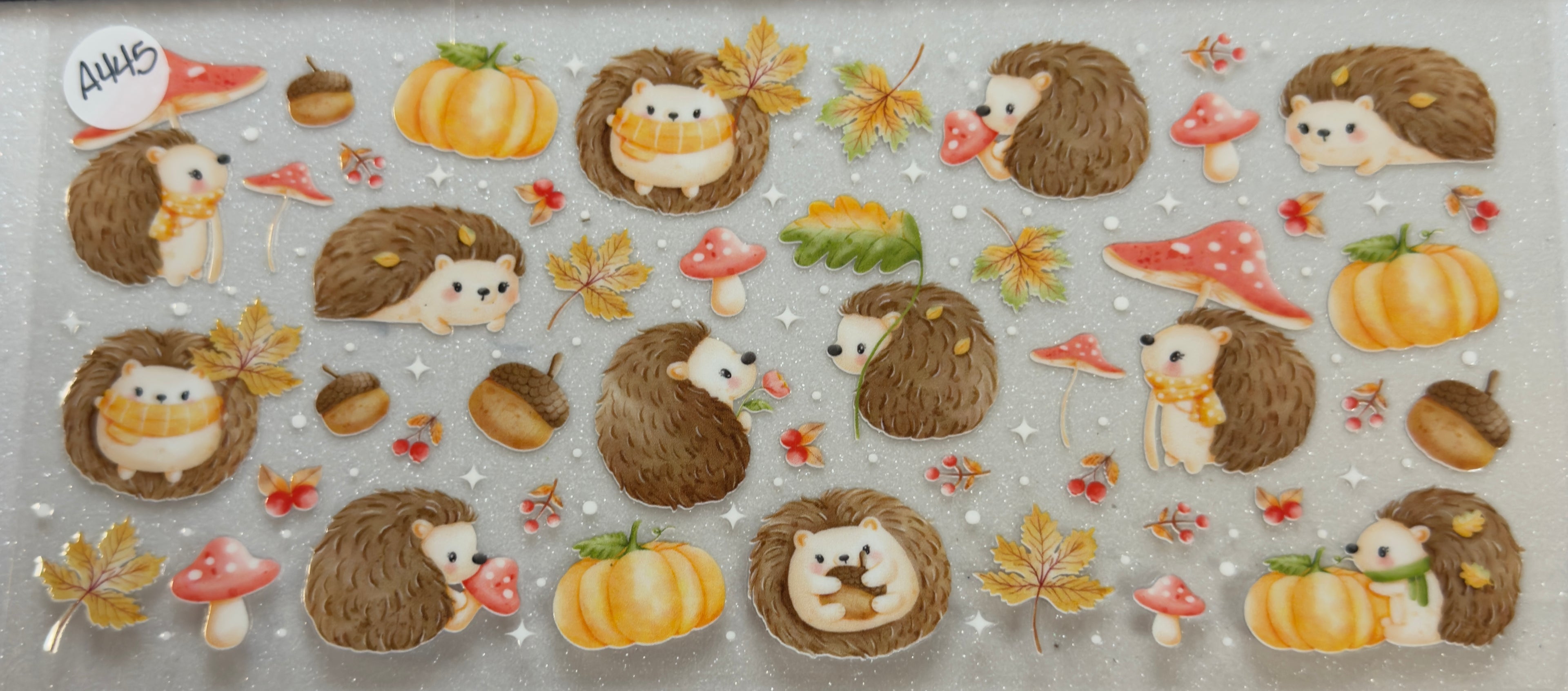 Animals