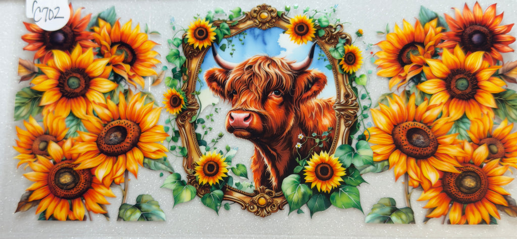 Cows