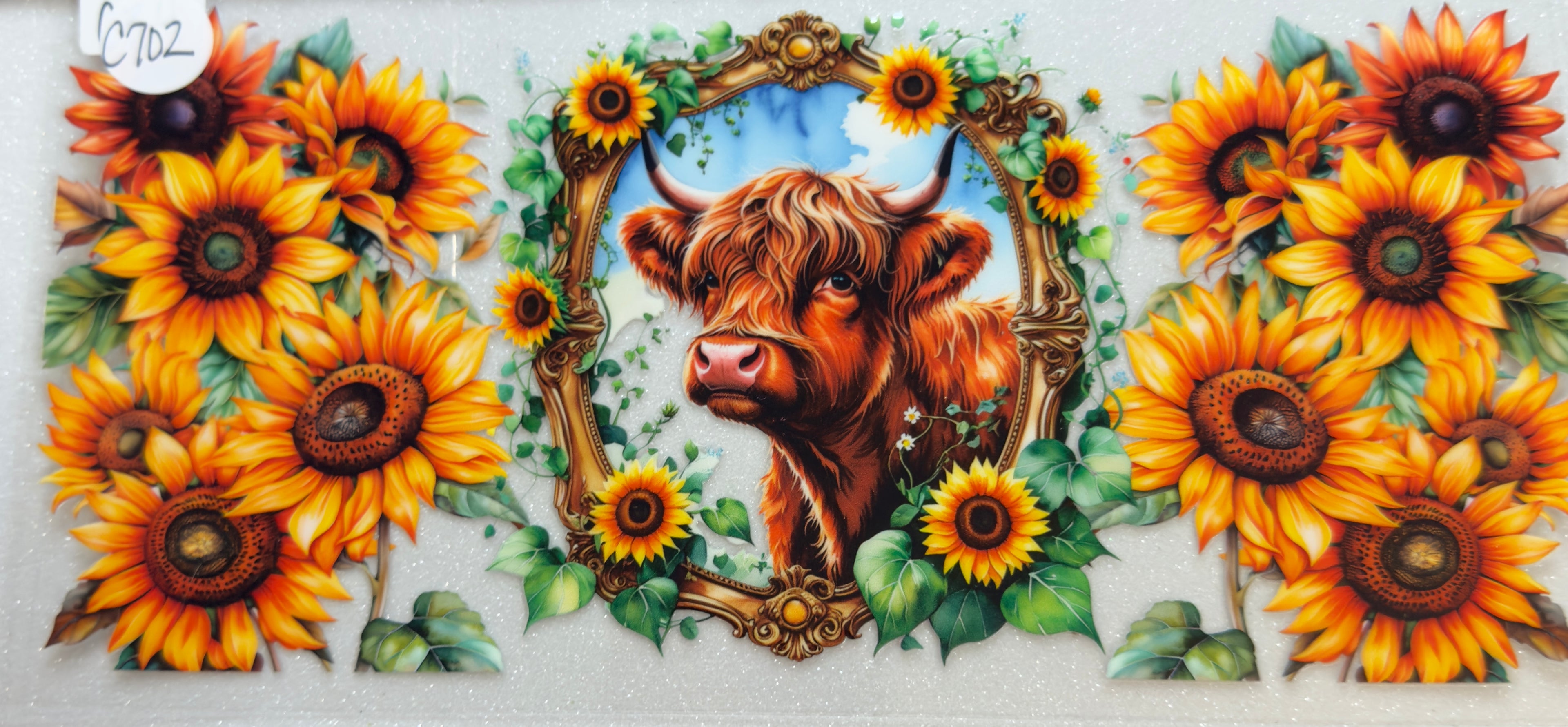 Cows