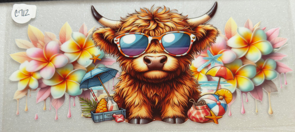 Cows