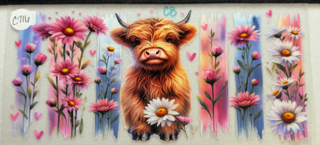 Cows