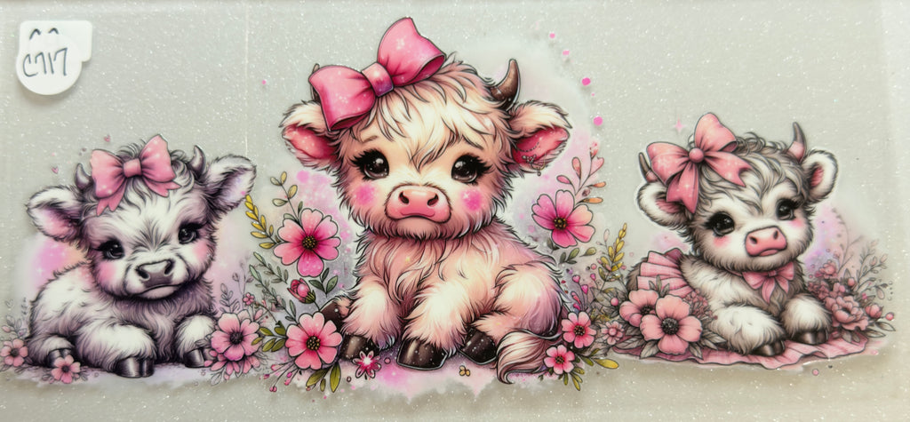 Cows