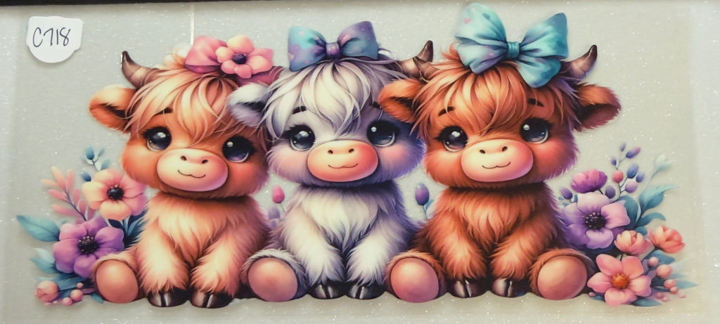 Cows