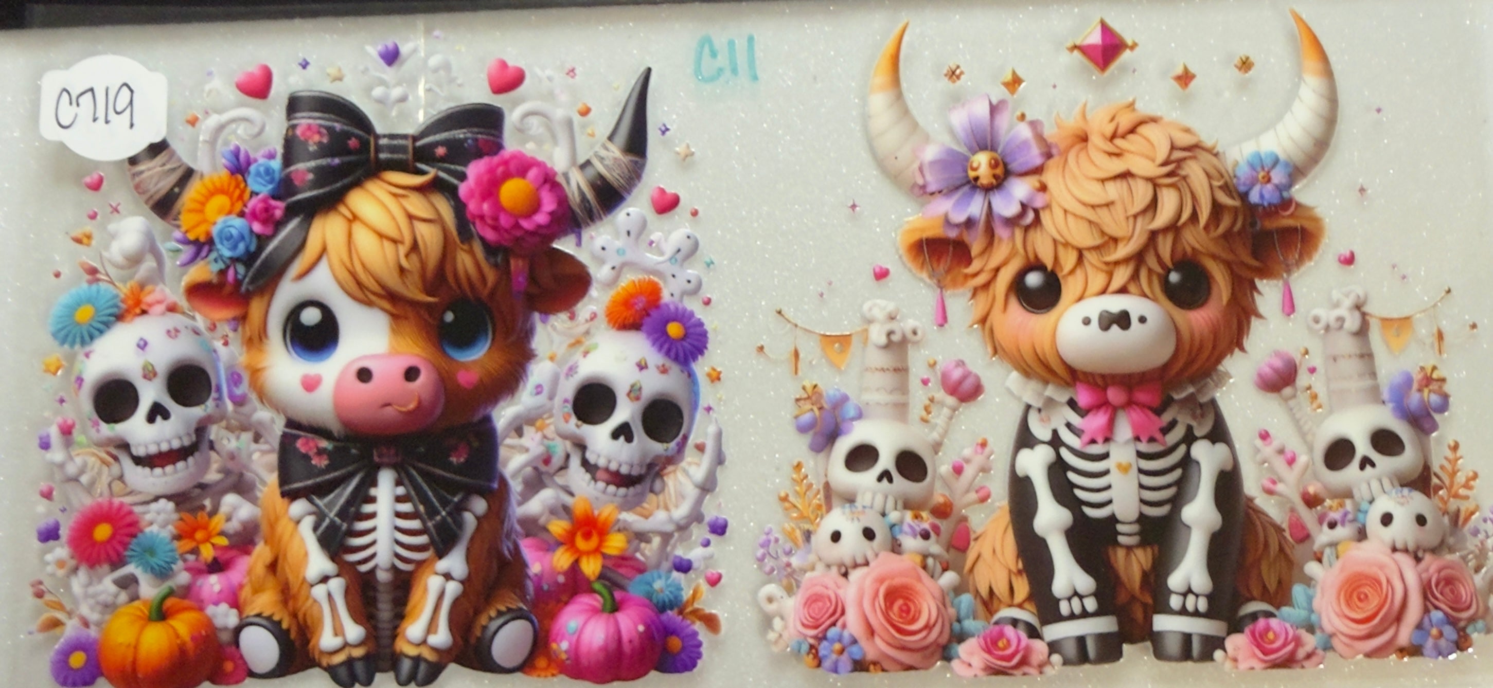Cows