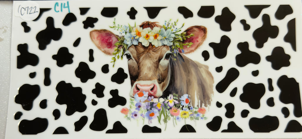 Cows