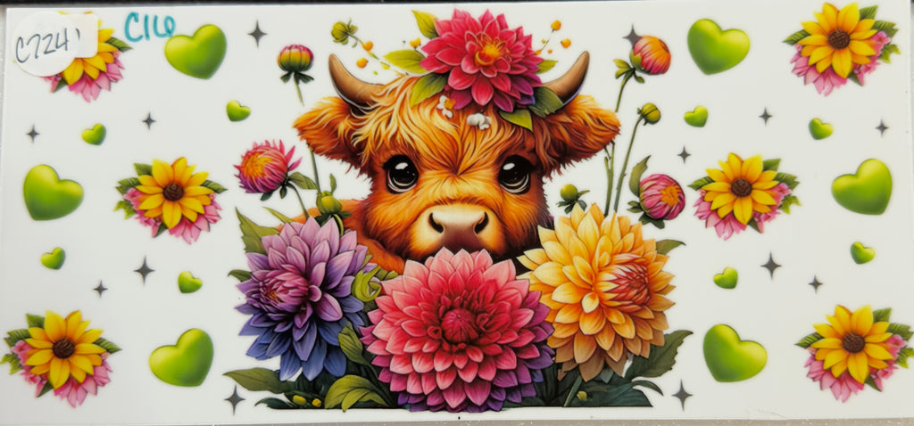 Cows