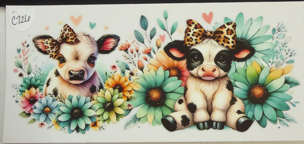 Cows