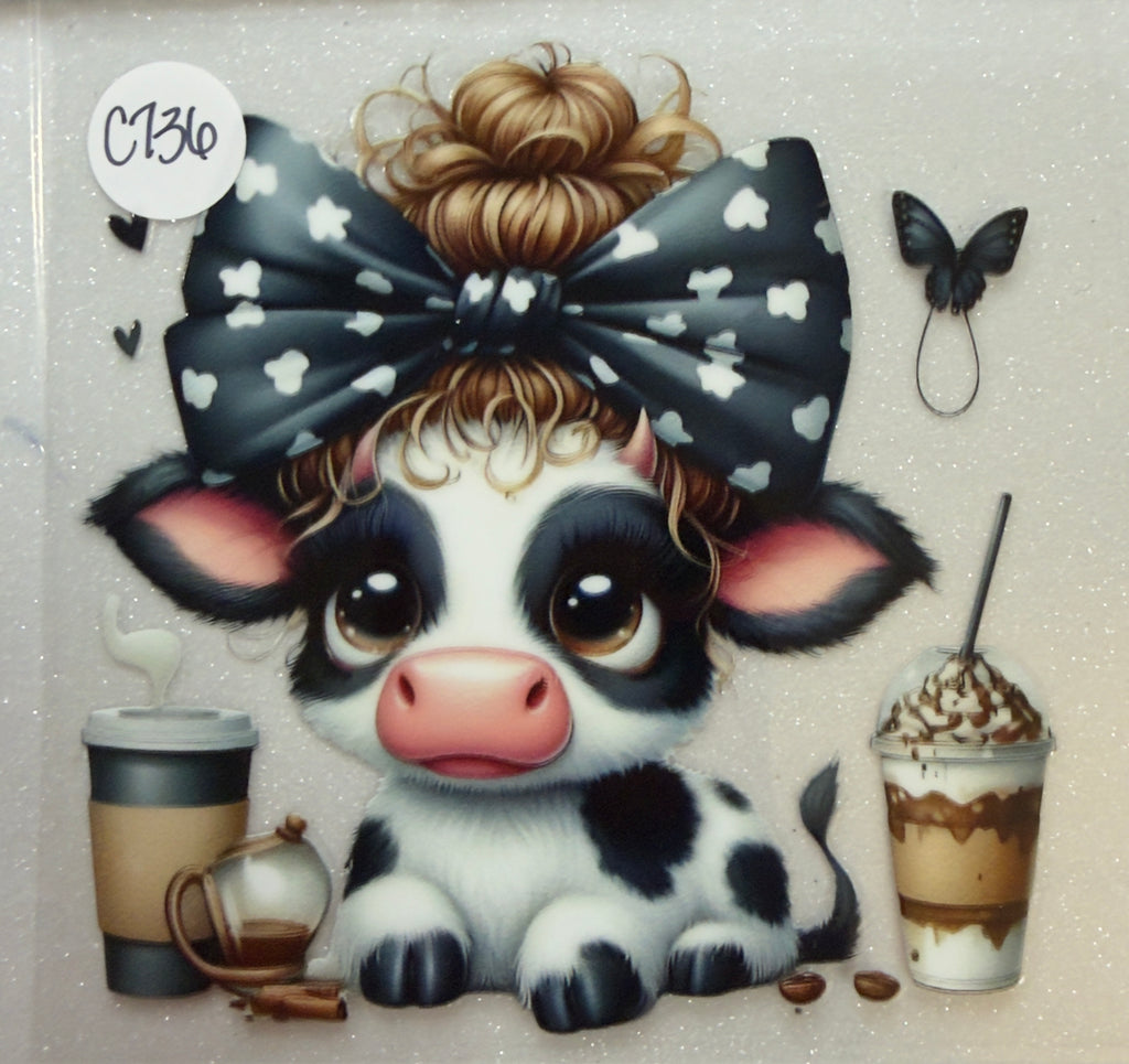Cows