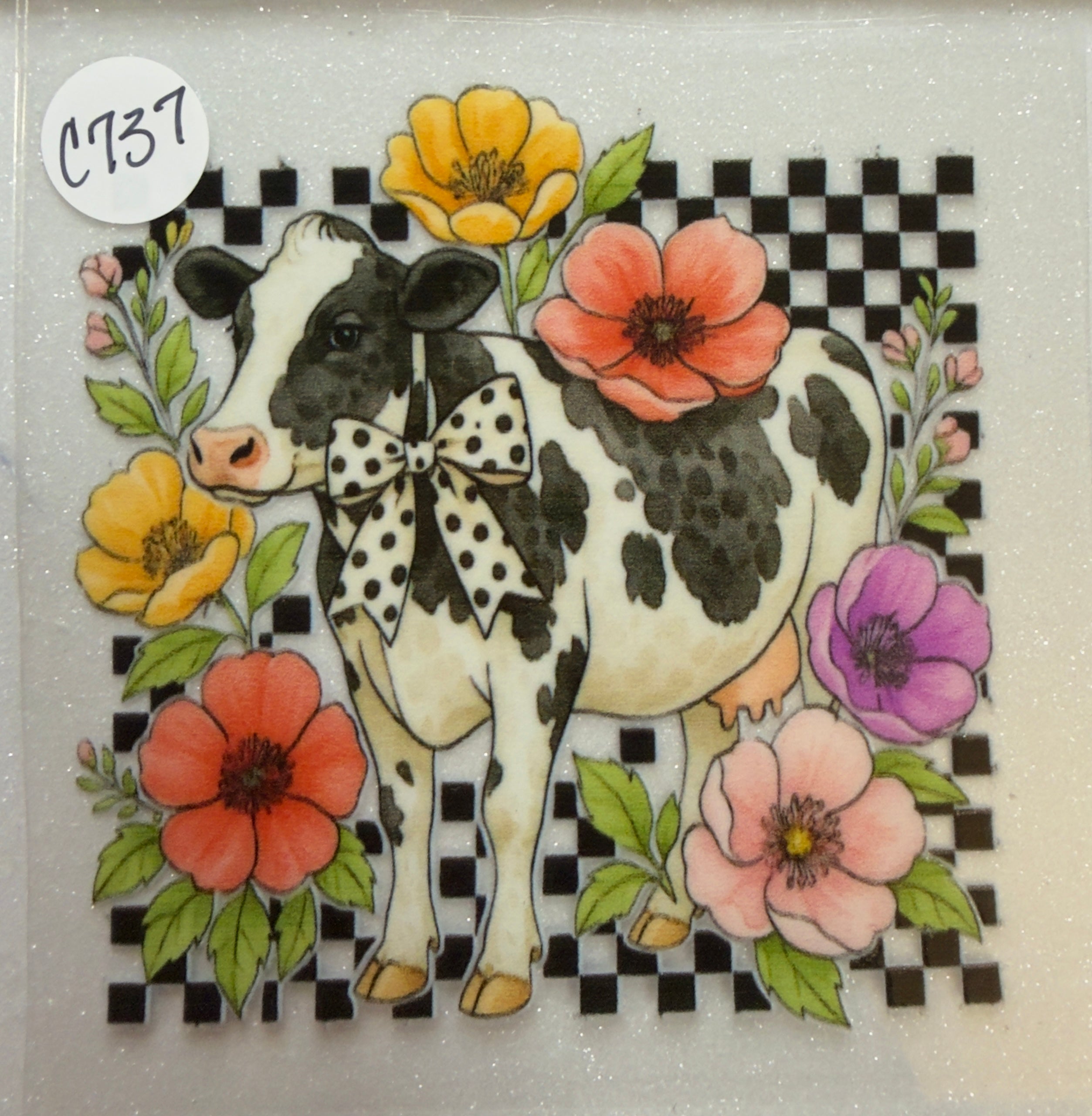 Cows
