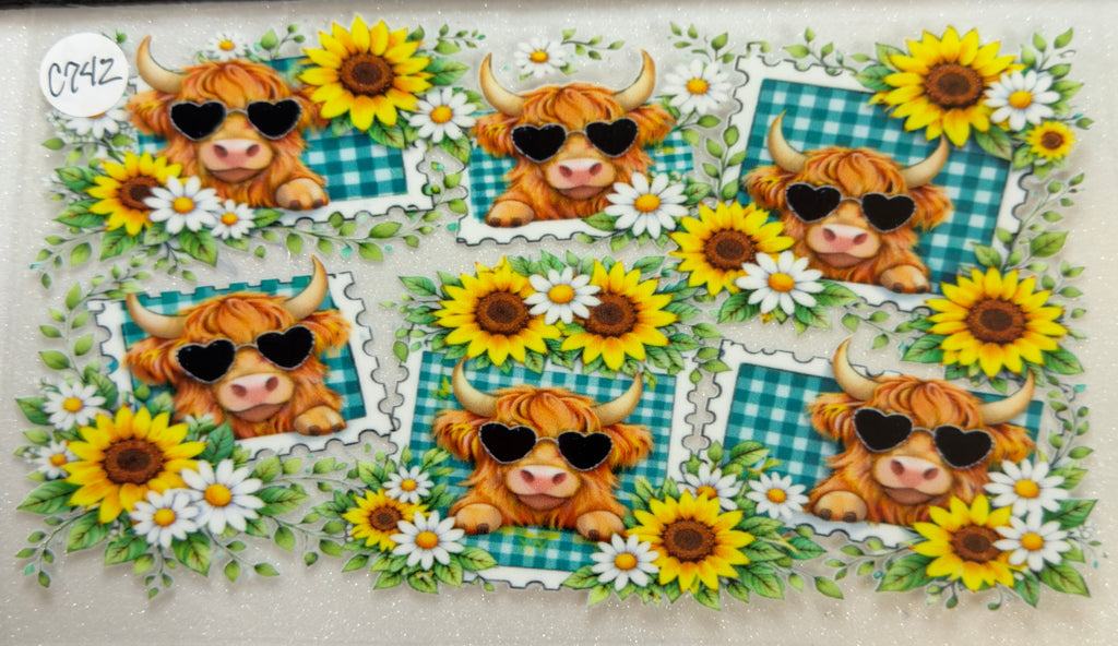 Cows