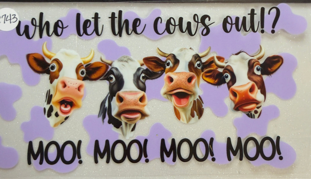 Cows
