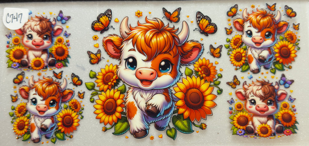 Cows