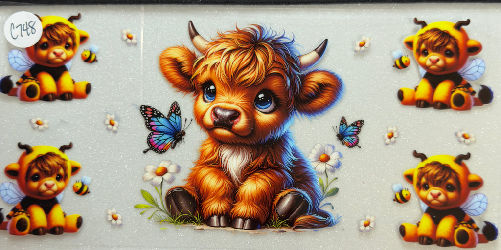 Cows