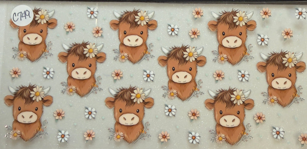 Cows