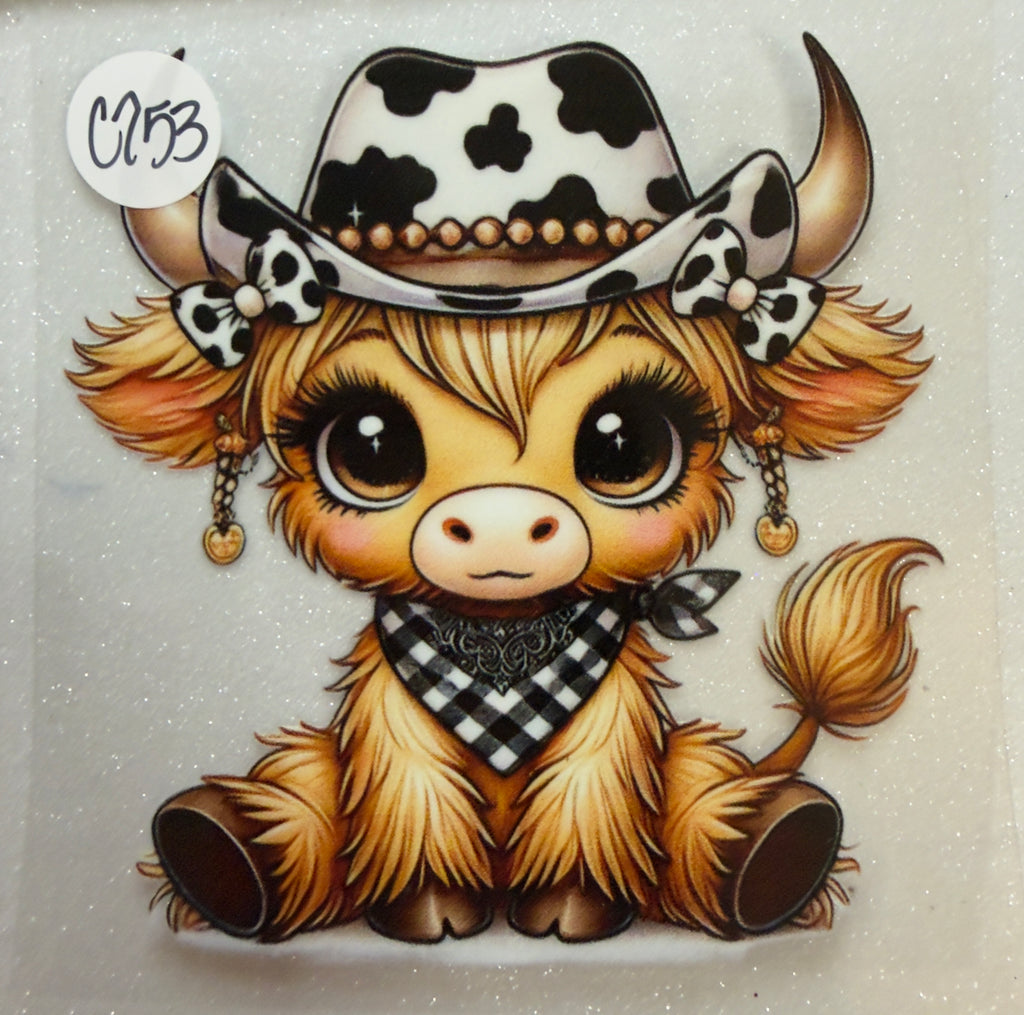 Cows