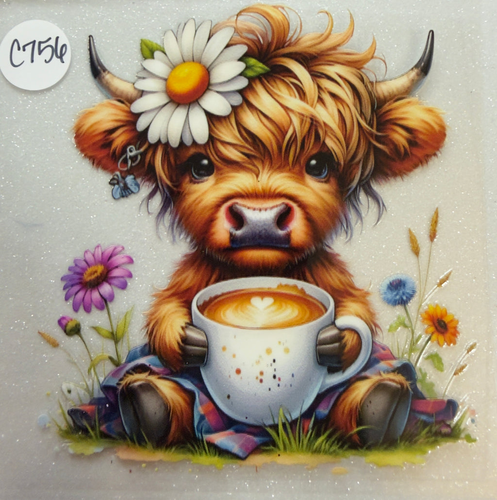 Cows