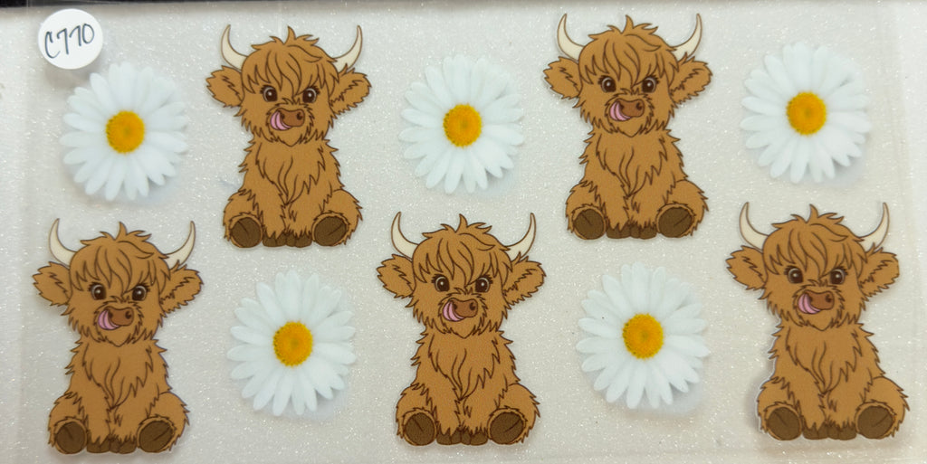 Cows