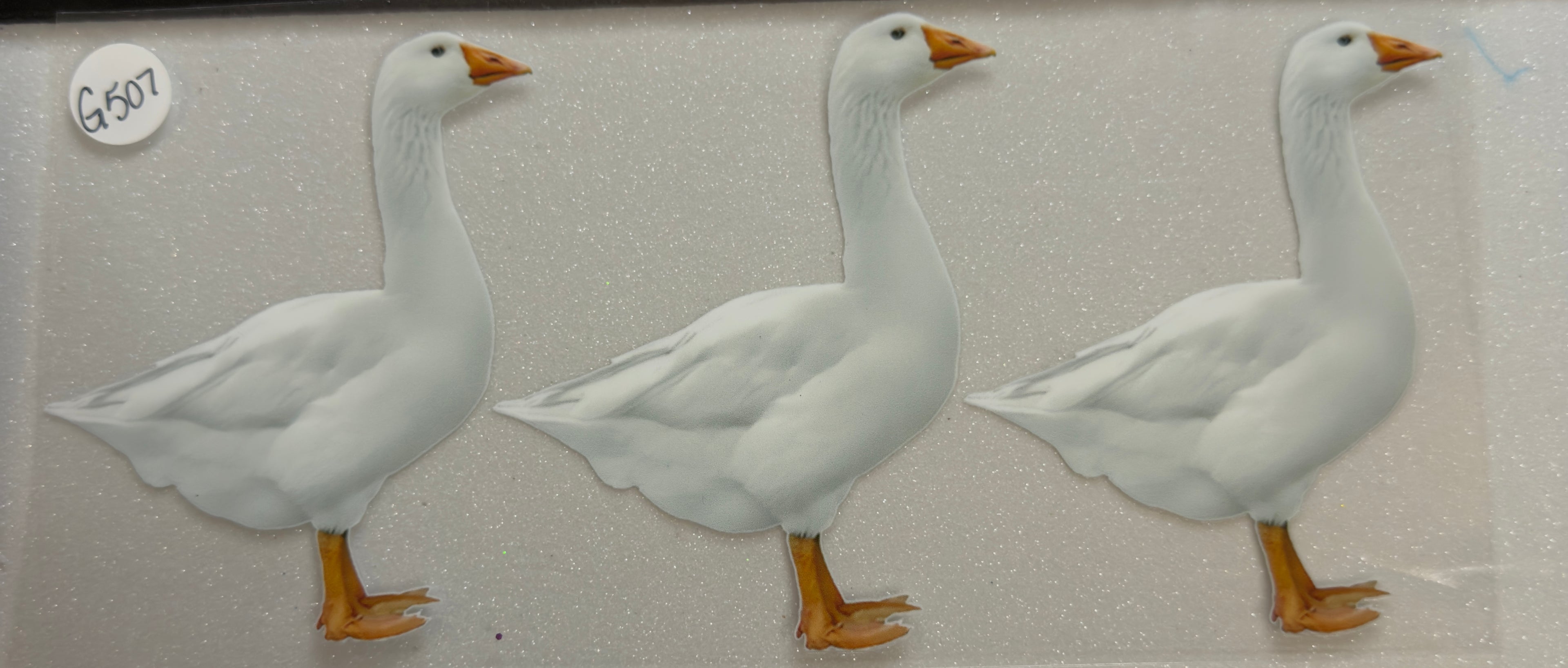 Ducks