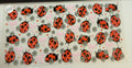 Lady Bugs