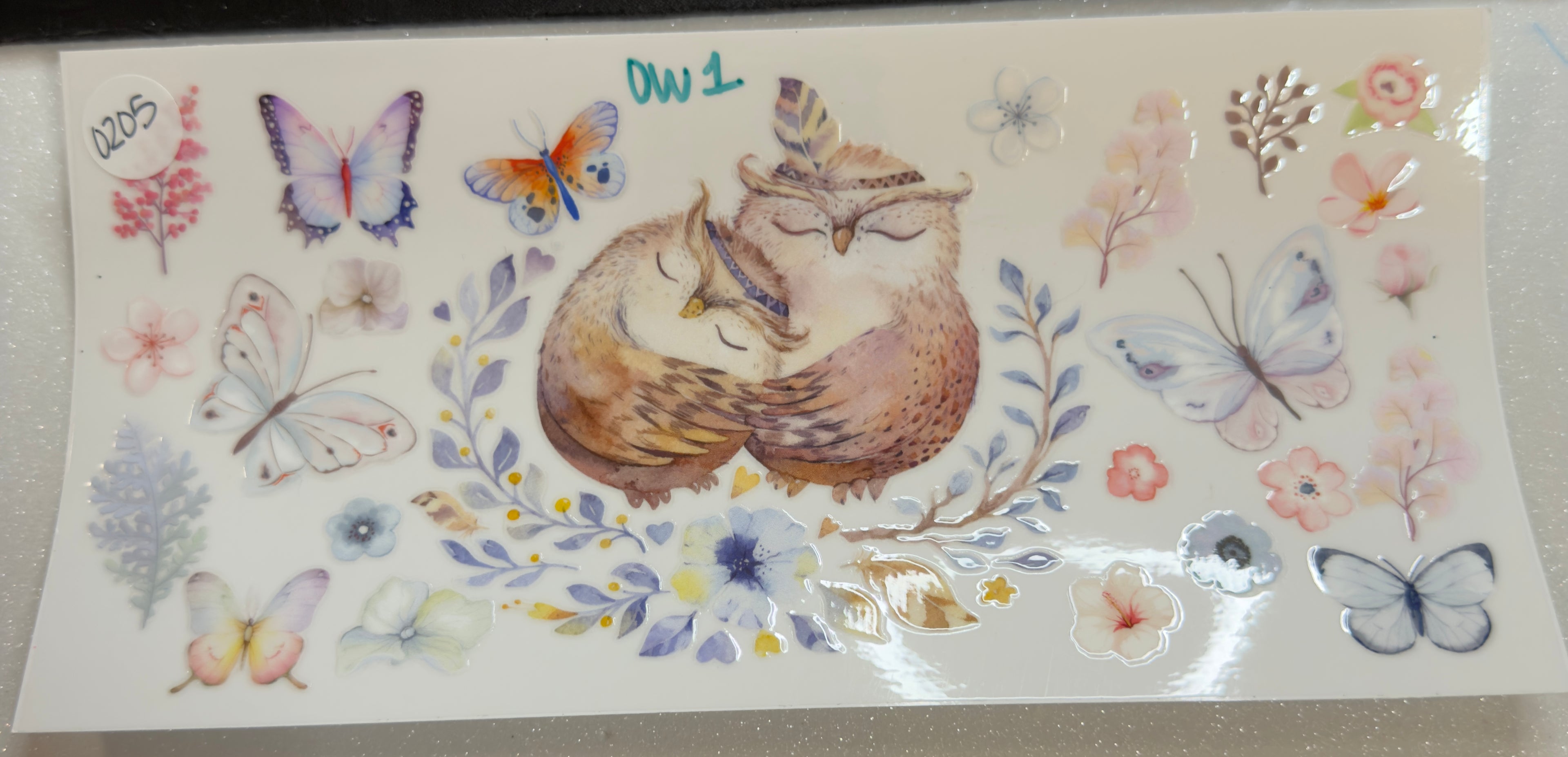 Owls