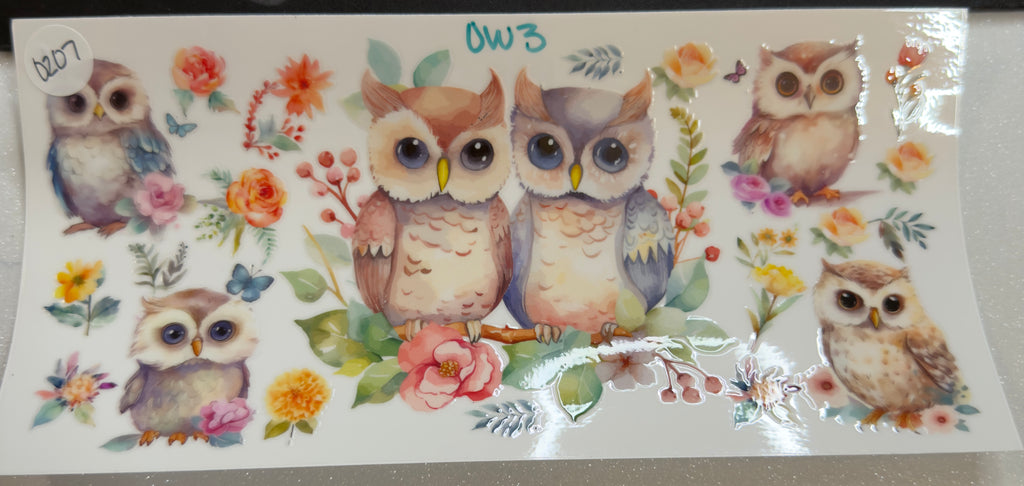 Owls