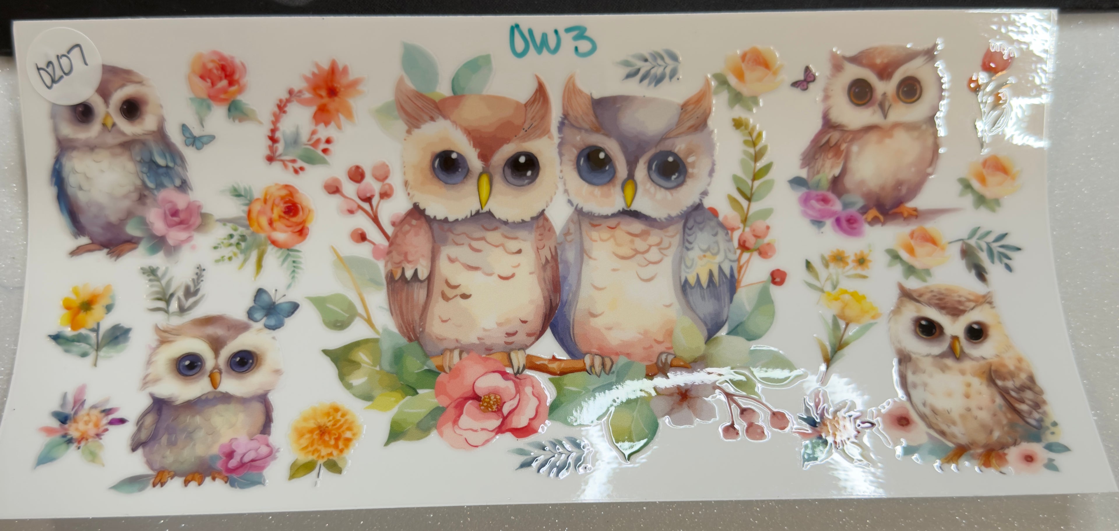 Owls