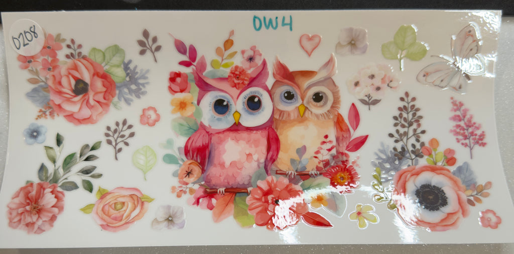 Owls