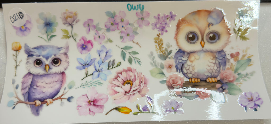 Owls