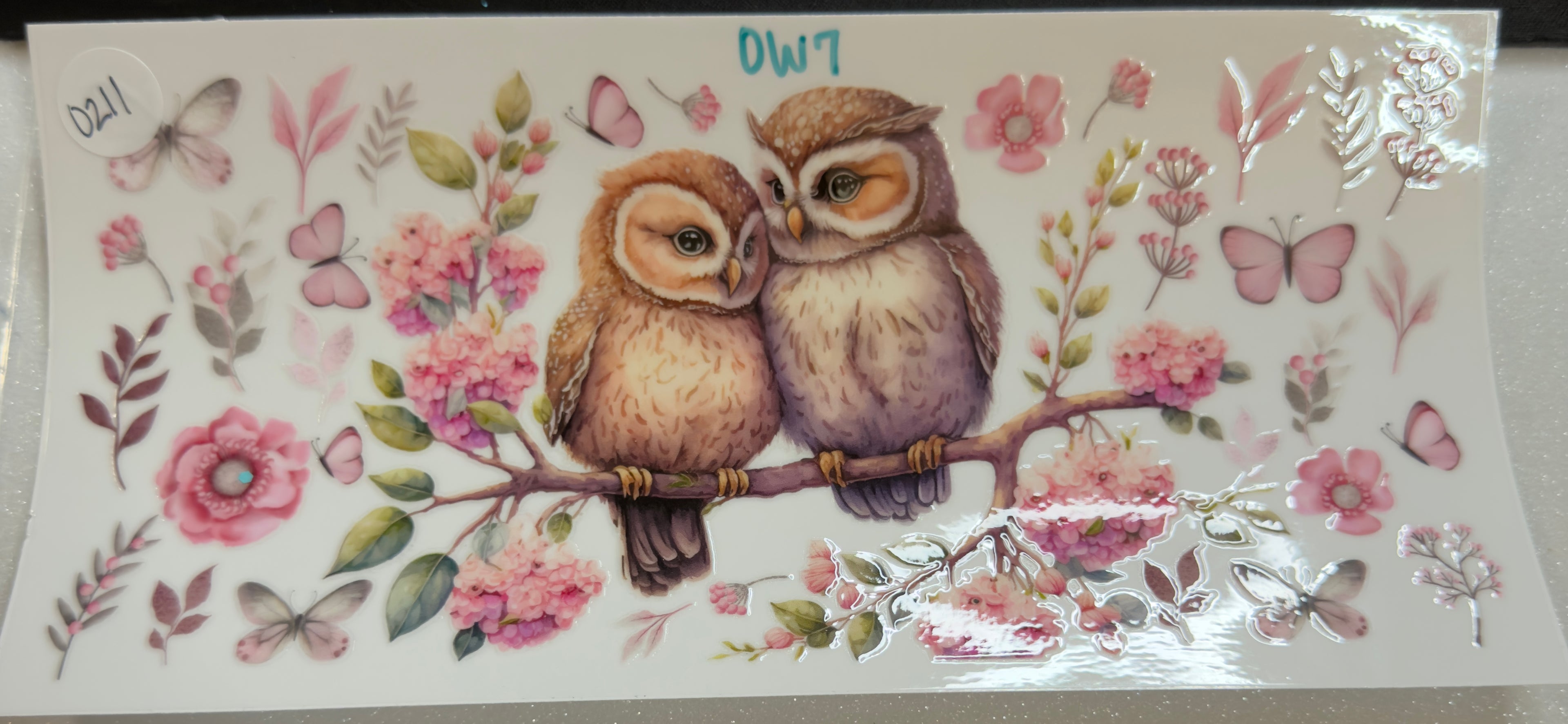 Owls
