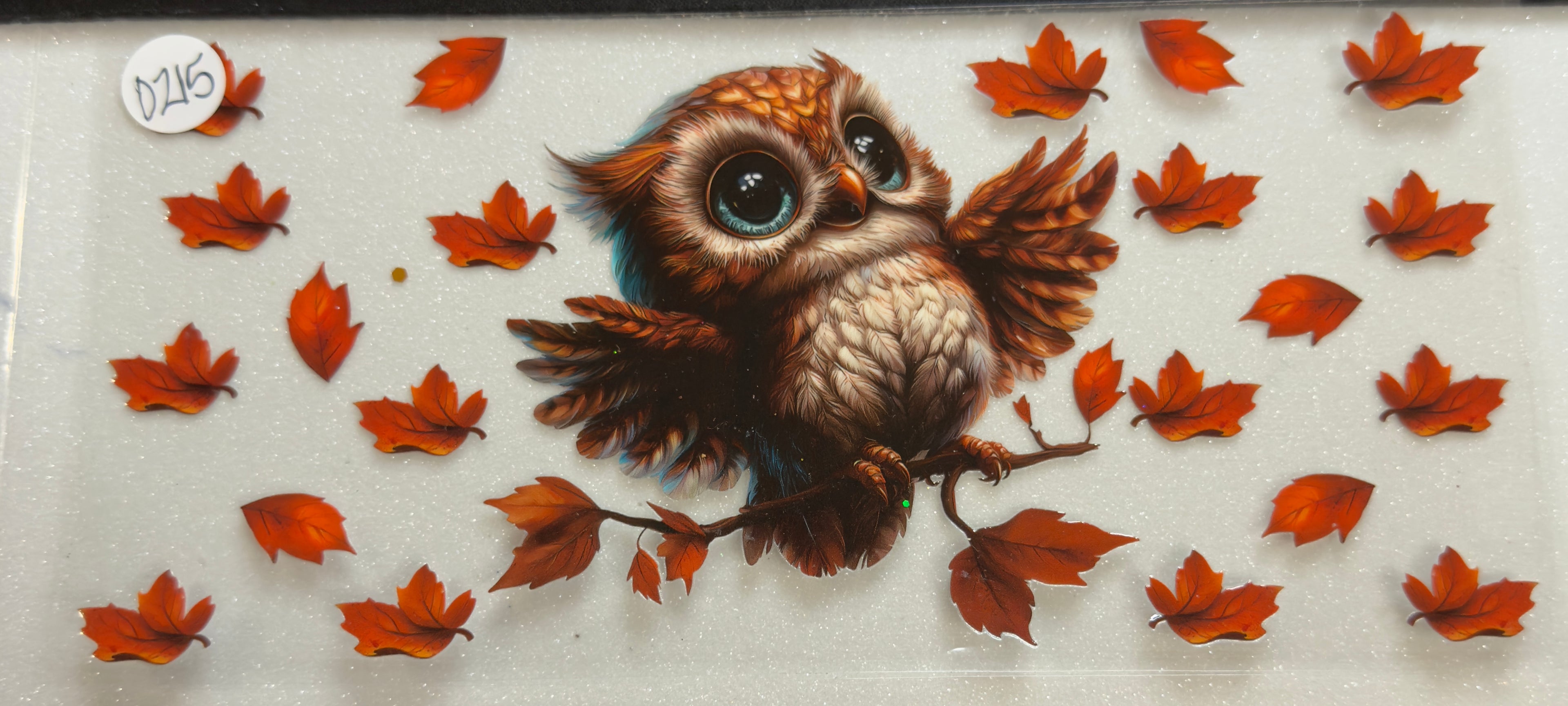 Owls