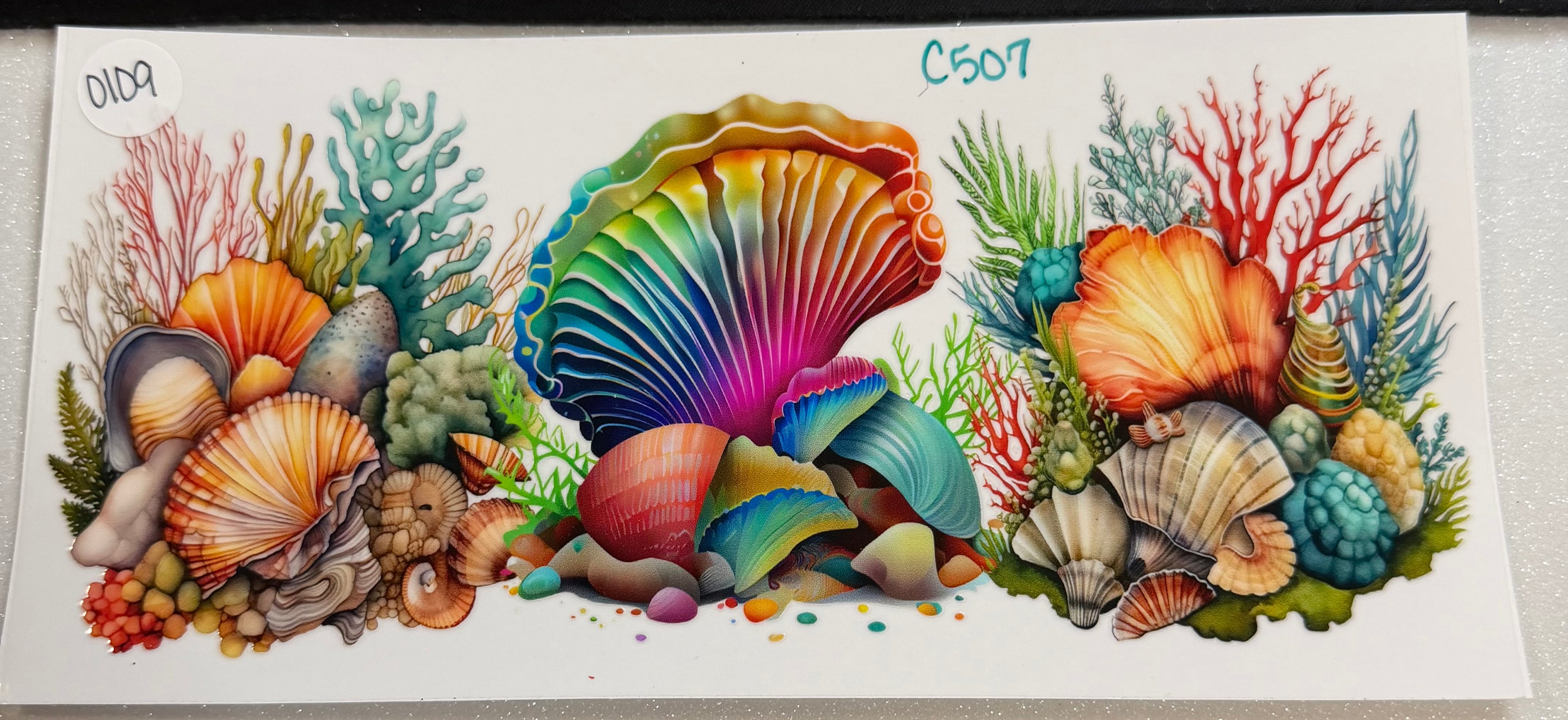 Ocean