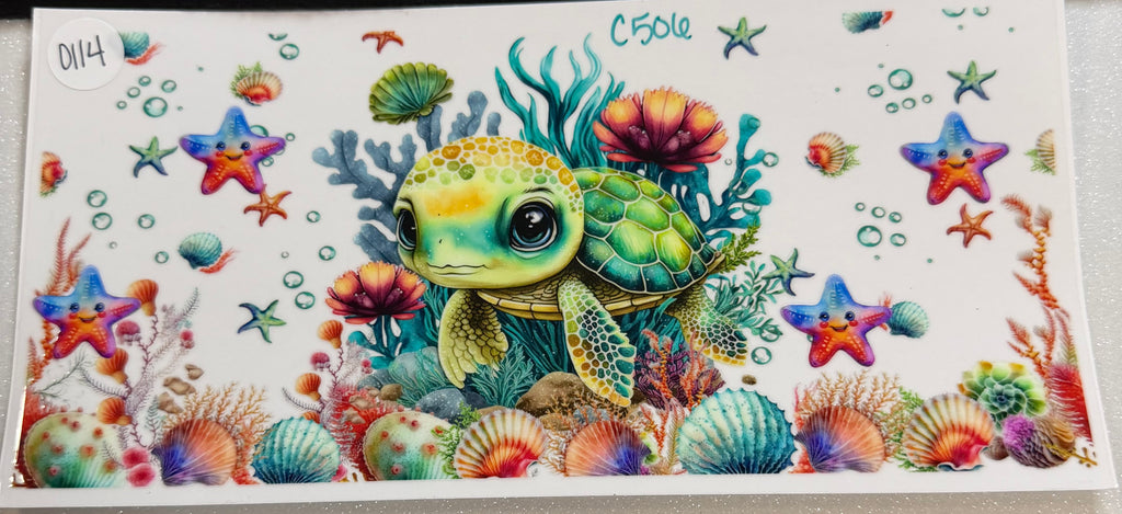 Ocean