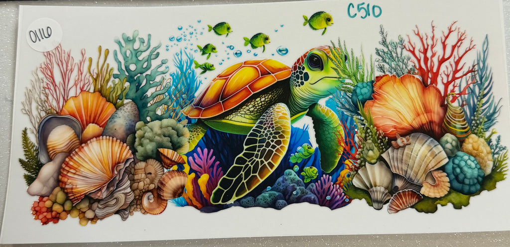 Ocean