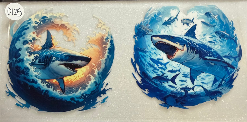 Ocean