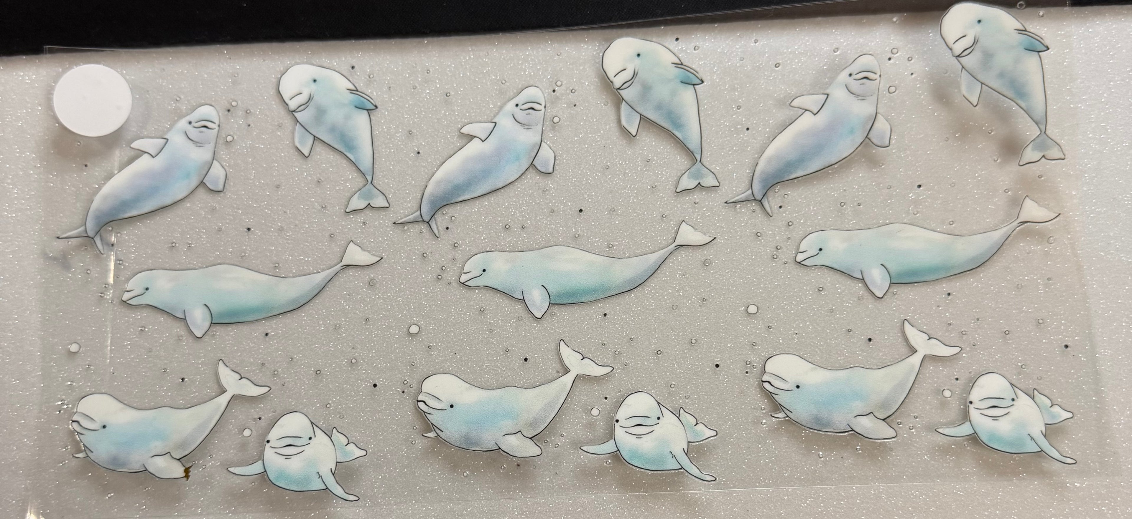 Ocean