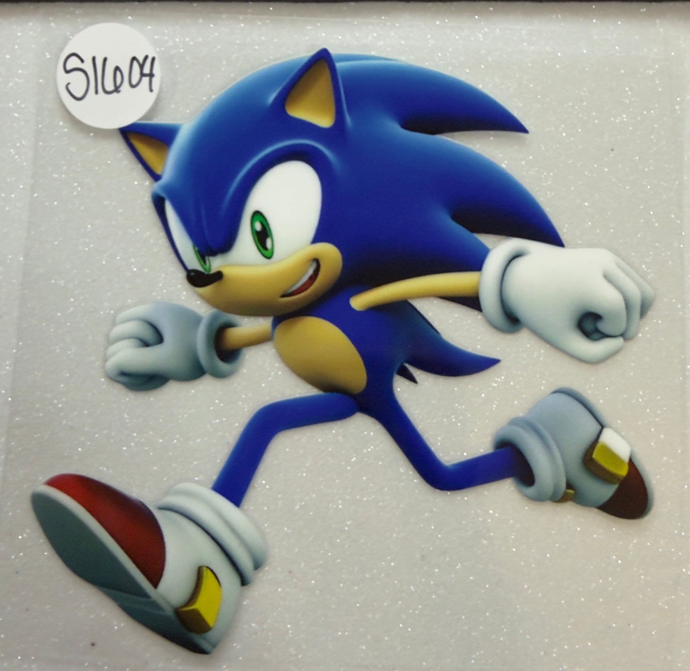 Sonic the Hedgehog Hog