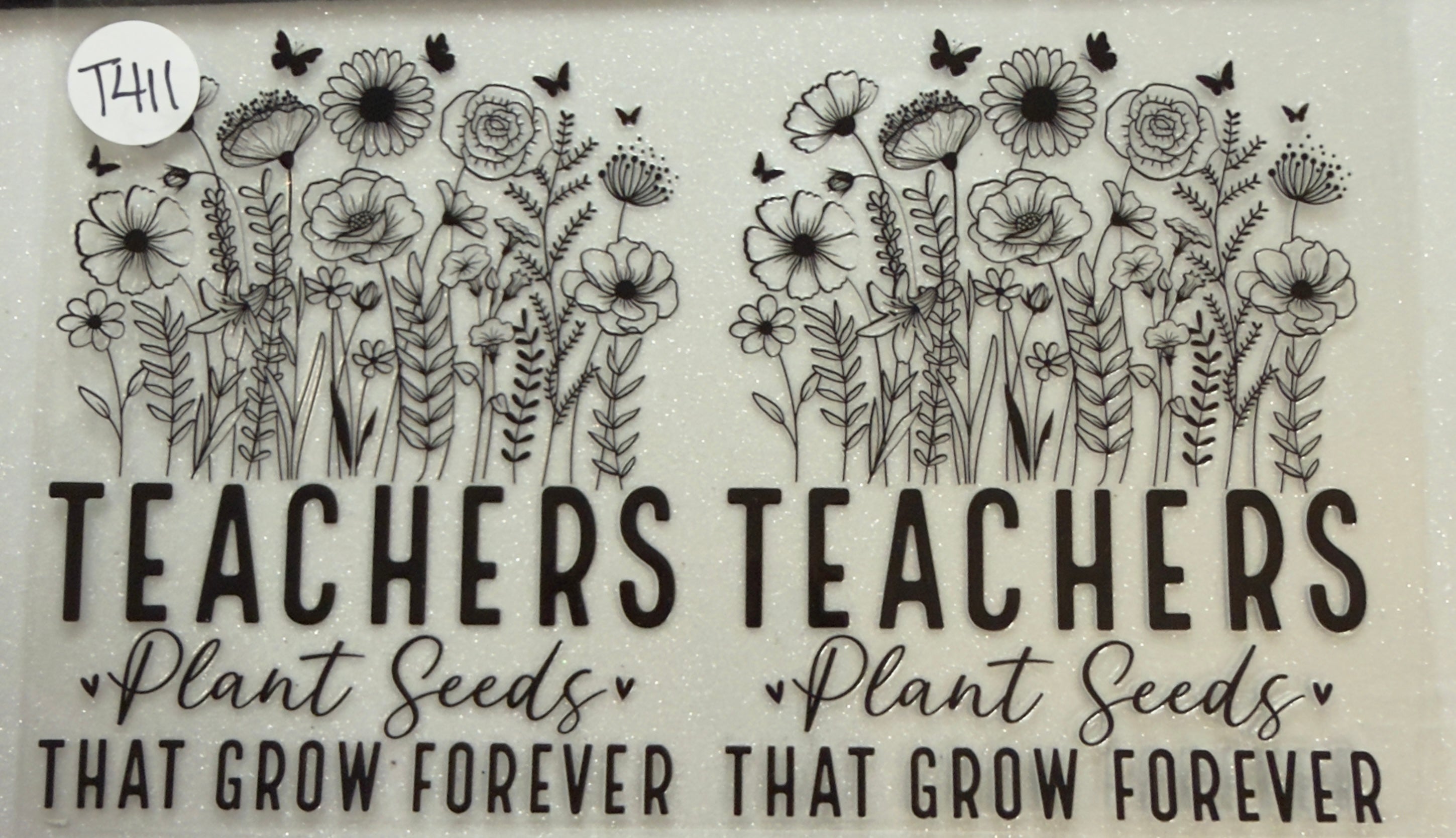 Teacher and Books