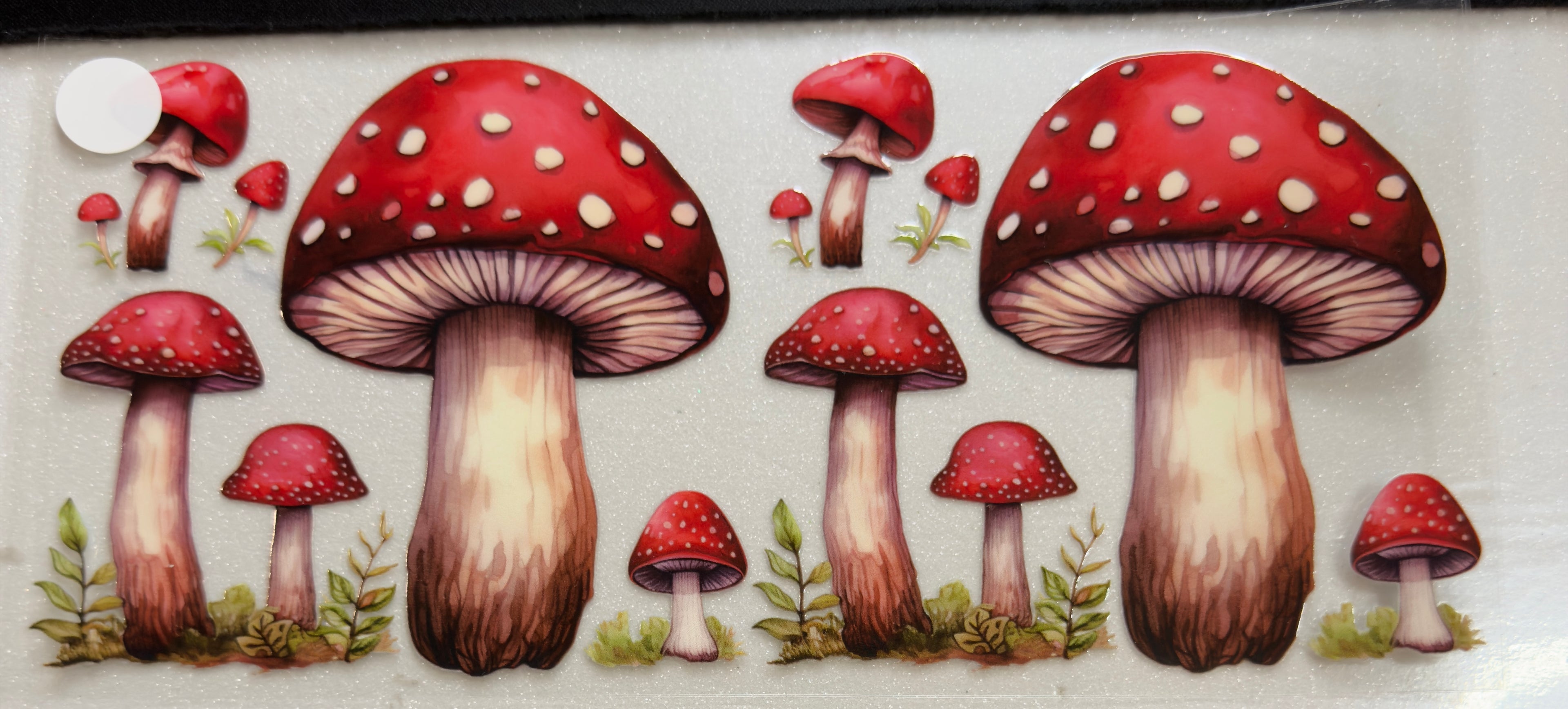 Mushrooms