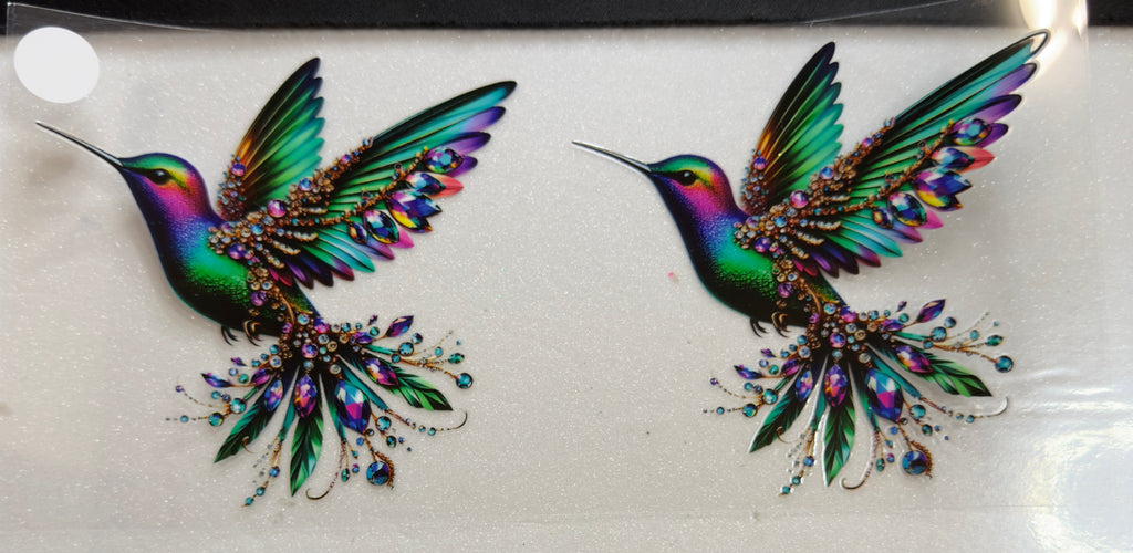 Birds