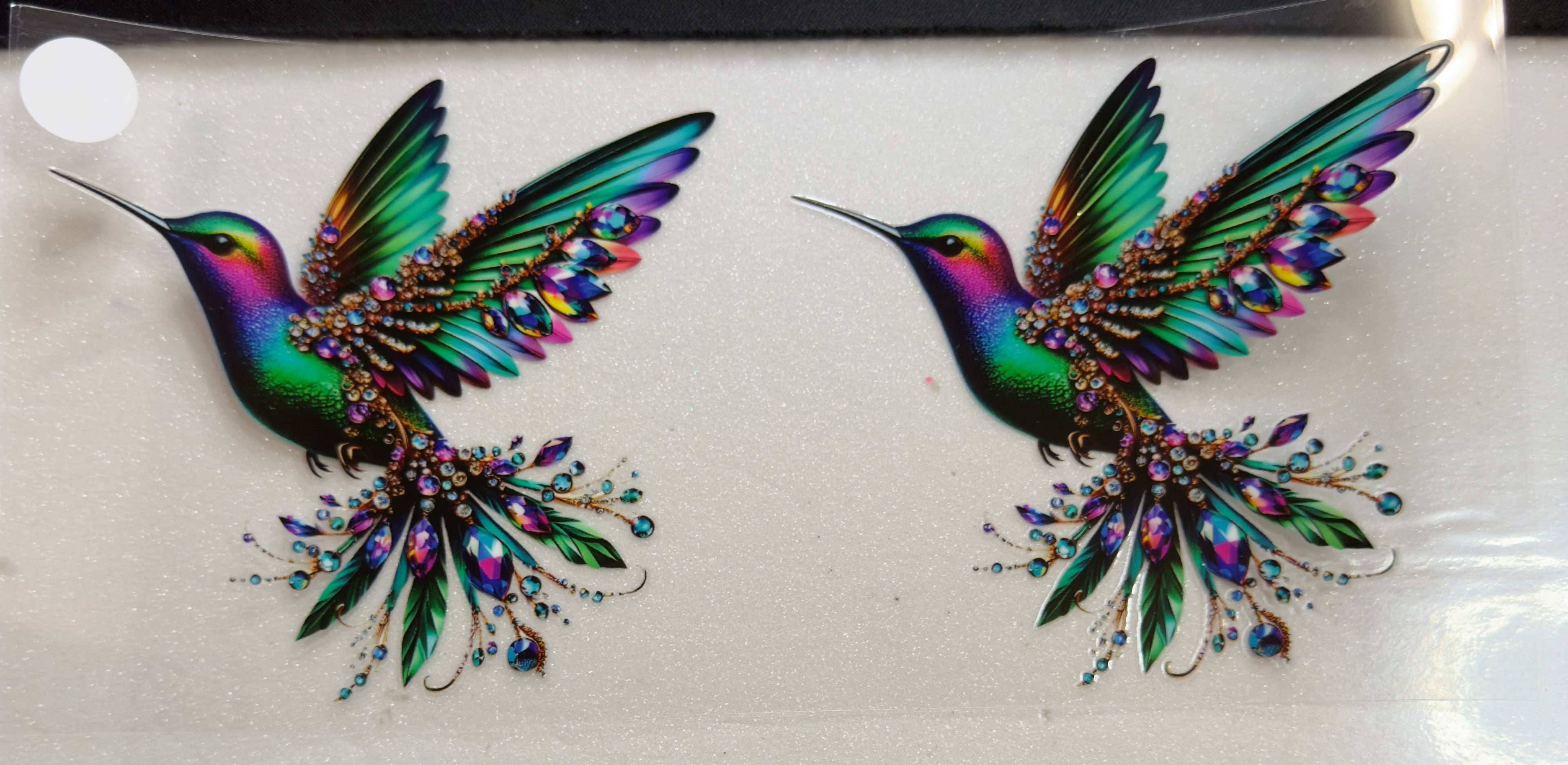 Birds