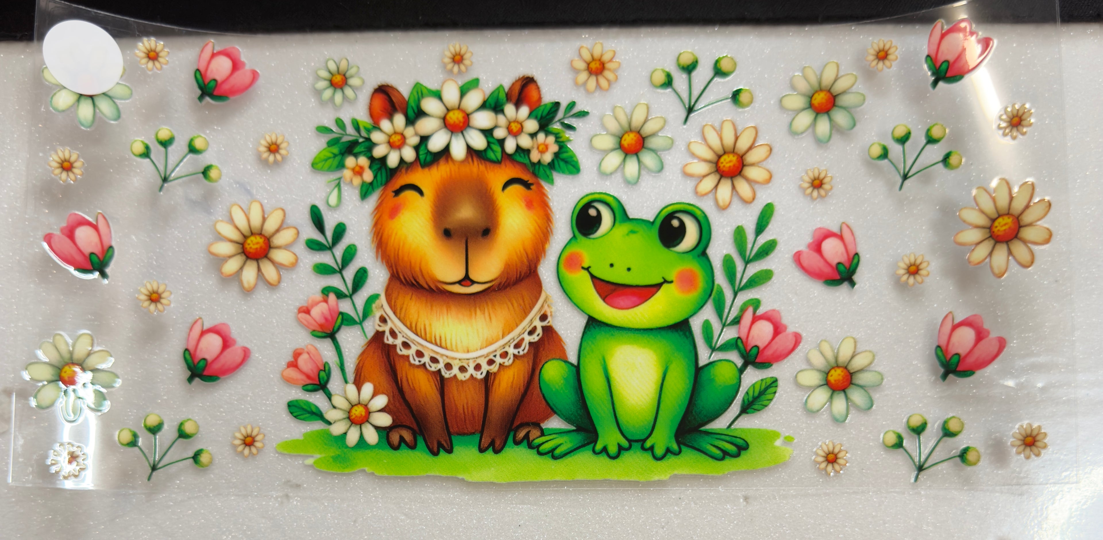 Animals