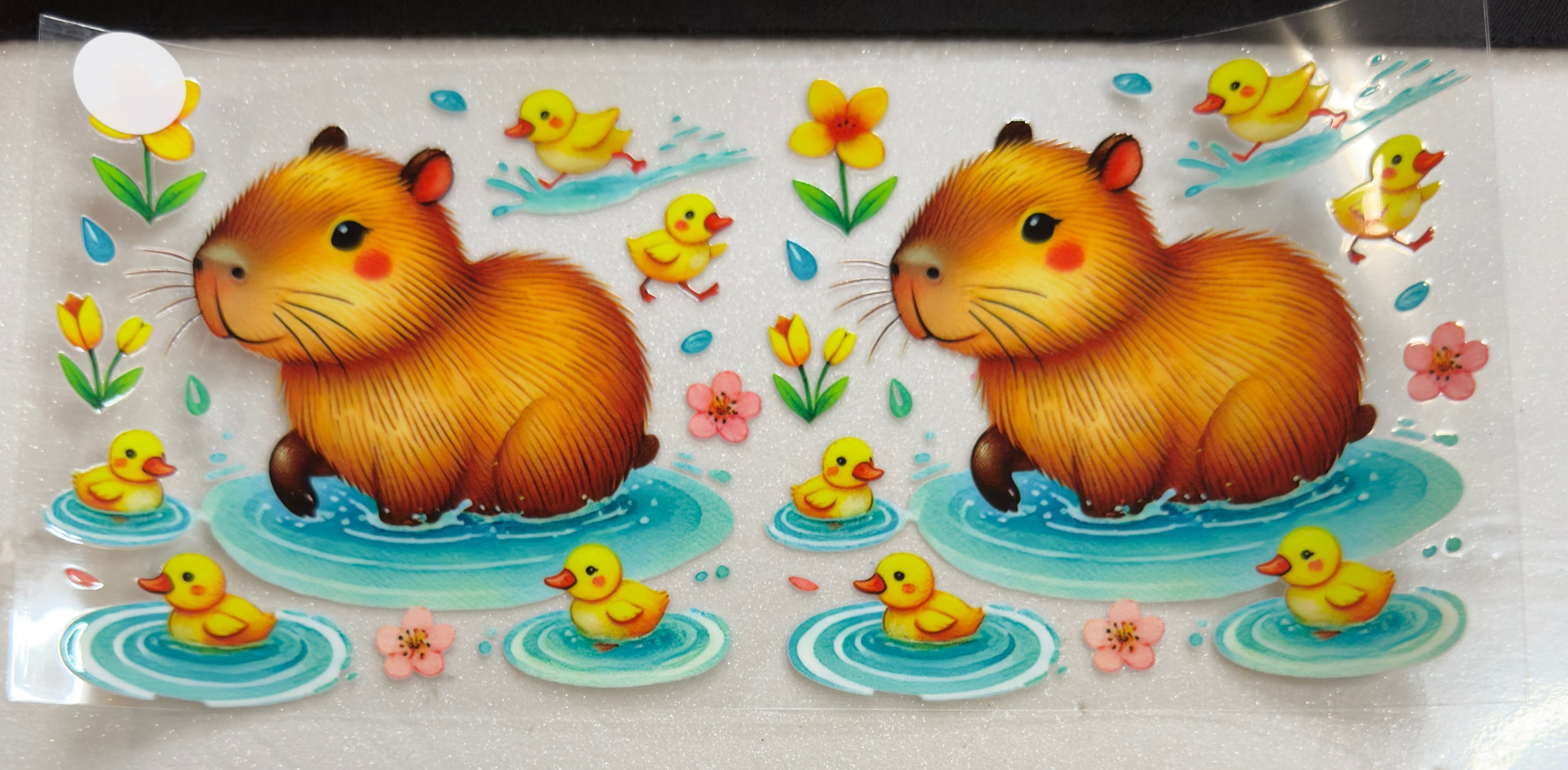 Animals